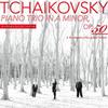 CD ТРИО МАТСУКИ И ВАТАРУ ХАНАКО, КА - Чайковский: Фортепианное трио В воспоминаниях RKCP8101 Япония ObiClassical Б/у