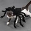 Halloween Dog Cat Clothes Pet Cats Dogs Cosplay Funny Spider Costume Halloween Party Costumes for Small Medium Dog Cats Costumes