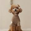 Love Winter Warm Pet Dog Clothing Base Shirt Cute Love Bear Teddy Yorkshire Hoodie Cat Pet Warm Clothing Designer Puppy Clothing