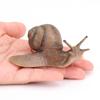 Cognitive Puzzle Science Education Snail Model Garden Decoration Simulation Insect Snail Statue
