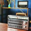 Радиоприемник AM/FM, Работа от батарей, Работа от сети, Высокая громкость, Множество станций