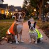 Adjustable Puppy Visibility Jacket Reflective Pet Fluorescent Clothes  for Walking Night