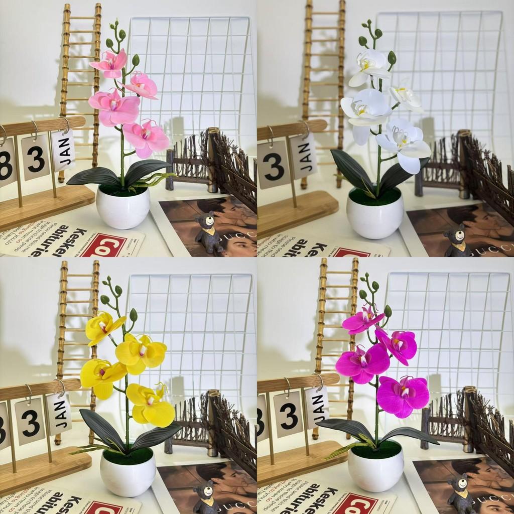 Realistic Artificial Orchid Arrangement With Small Round Pot For Indoor And Outdoor Decoration