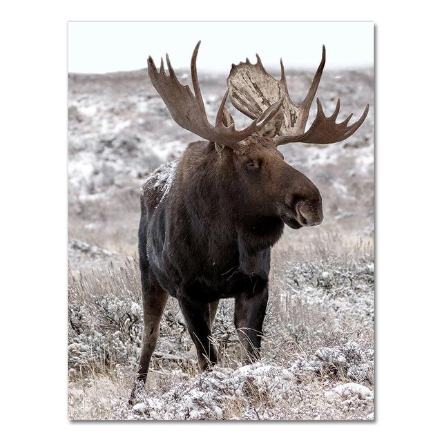 Скандинавский постер и принт, зимний природный пейзаж, холст, картина, пиво, олень, животное, настенная картина, скандинавский стиль, домашний декор, без рамки