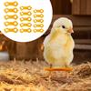 15Pcs Chicken Hobble Braces, Baby Chick Leg Hobbles, Poultry Bands for Canaries Exhibition