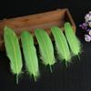 50Pcs Shellfish Feather Goose Feather Diy Handmade Jewelry Accessories Handicrafts Cat Toys Decorative Feathers