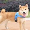 No-Pull Dog Harness Breathable Dog Harness with Reflective Leash Adjustable Fit Mesh Vest Harness