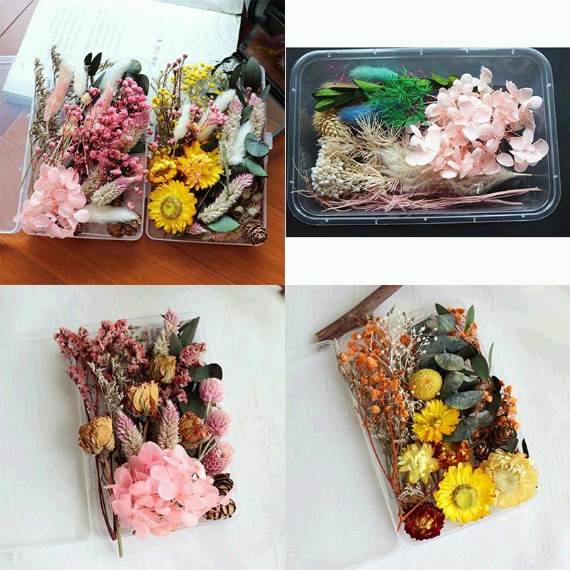 Сушеные цветы, 1 коробка, настоящая подвеска из смолы, эпоксидная смола, ремесленные украшения для искусства «сделай сам»