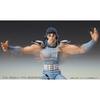 Super Action Statue "Fist of the North Star" "Rei" Approximately 175mm PVC & ABS & POM Painted Movable Figure