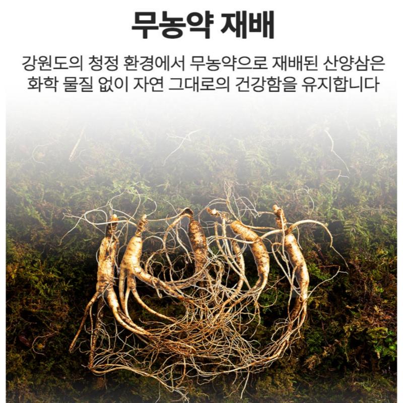 8-year-old Wild Ginseng Containing the Spirit of Gangwon-do