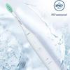 Philips HX2431 Series Sonic Electric Toothbrush