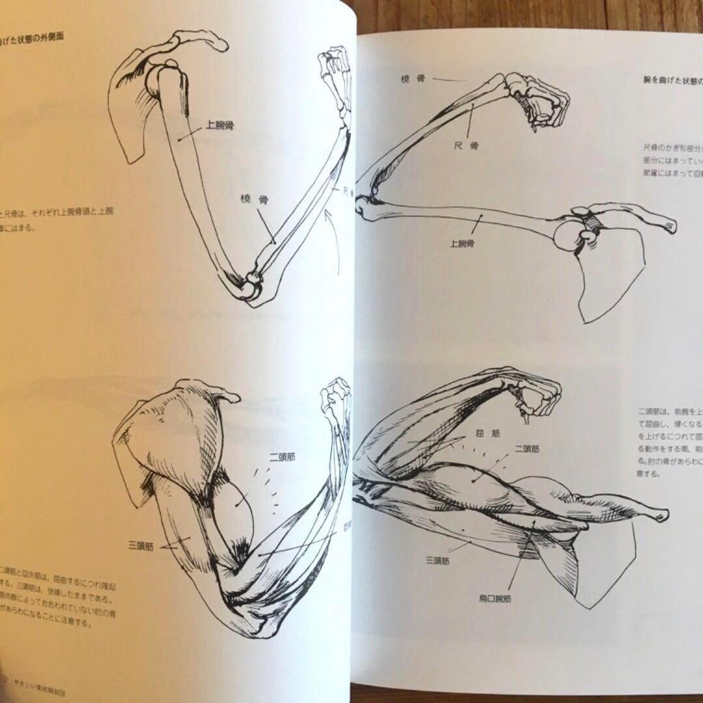 [ИСПОЛЬЗОВАННЫЙ] Рисунок фигуры 430 Разрезы Структура Основная схема скелета Объяснение Иллюстрация Обнаженная натура