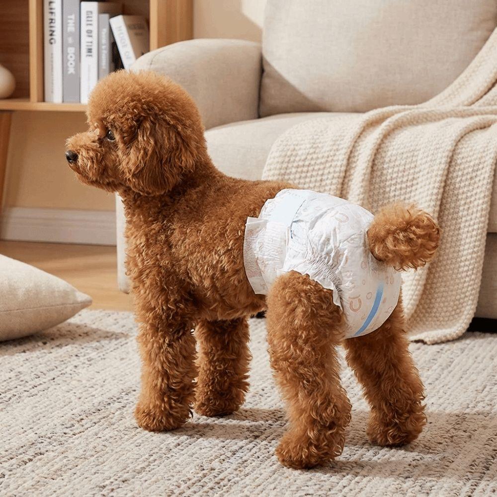 10PCS Super Absorption Dog Physiological Pants Adjustable Disposable Diapers  Dog Travel
