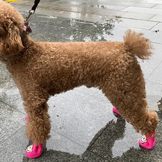 4 шт. Питомец Дождевые ботинки Принт обезьяны Водонепроницаемые Легкие Мультяшный узор Застежка-липучка Обувь для собак для улицы