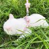 Cat traction rope Special traction small starfish nylon pet chest strap cute walking cat rope when going out to prevent breaking free