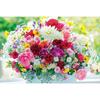 Colorful Flower Jigsaw Puzzle APP-1000-758, 1000 Pieces, Mixed Colors Jigsaw Puzzle, Childrens Games, Educational Toys