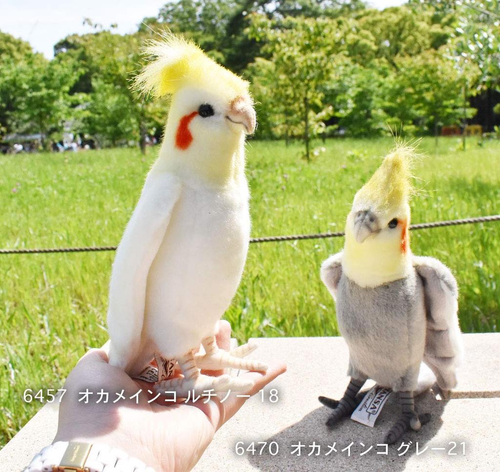 BH6470 HANSA Корелла Серый 18