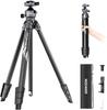 NEEWER LITETRIP LT07 Travel Tripod 156cm Aluminum Lightweight with Low Profile Ball Type QR Plate Camera Tripod Compatible Peak Design Capture V3 Dual