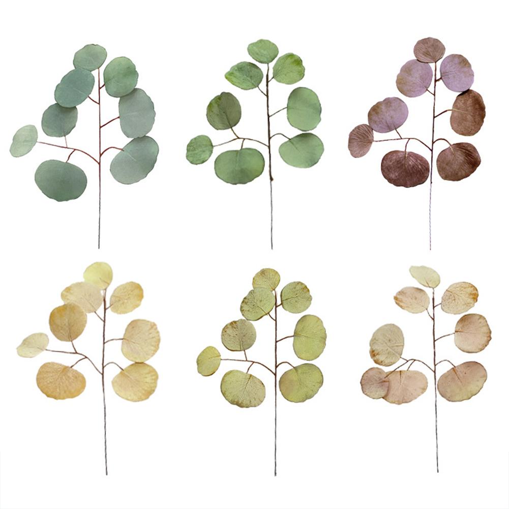 Simulation Eucalyptus Colored Leaves Photo Shoot Photography Background Props Tabletop Home Decor