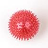 Pet Dog Toys Cat Puppy Sounding Toy Polka Squeaky Tooth Cleaning Ball TPR Training Pet Teeth Chewing Toy Thorn Balls Accessories
