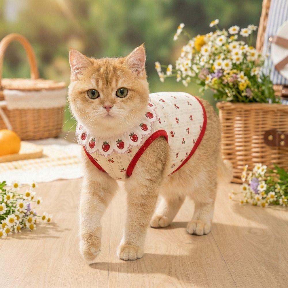 Cherry Pattern Cat Strawberry Vest Breathable Summer Pet Clothes Cat Lace Vest Photo Shoots