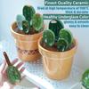 Cactus Measuring Spoons Set in Pot Unique Measuring Cups and Spoons for Coffee Salt Sugar Novelty Cute Baking Gifts Dishwasher Safe Ceramic Measuring