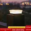 Outdoor Waterproof Solar Pillar and Gate Post Light for Courtyard and Fence