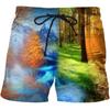 Men Shorts Summer 3D Printed Casual Ordinary Youth Beach Short Pants Spring Little Stretch Short Trousers