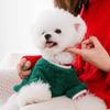 Dog Clothes Christmas Day Two-legged Elk Fleece Jacket Teddy Bear Cat Two-legged Pet Festive New Year Clothing