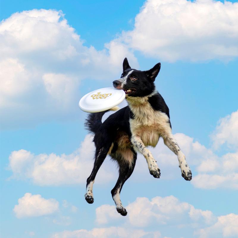 Фрисби для домашних животных Eisenwell Competition-Standard: Диск для дрессировки собак 235 мм, профессиональный диск 240 мм.
