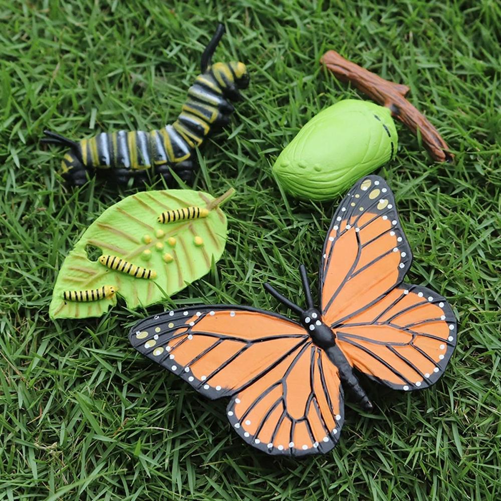 Cycle Plastic Models Life Cycle Figurine Simulation Animals Action Figures Growth Cycle Model