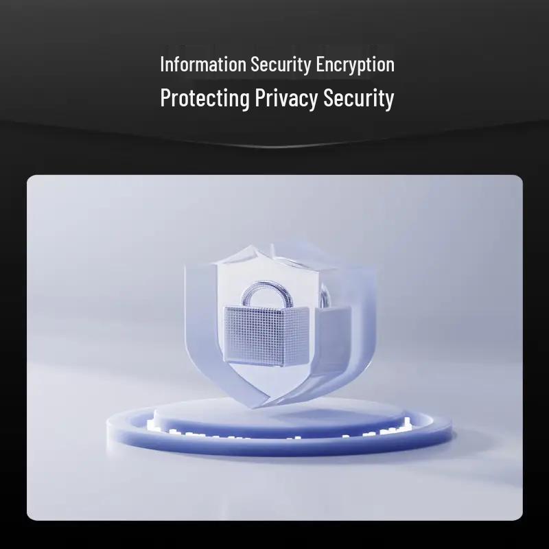 DESMAN Q3FV Smart Door Lock