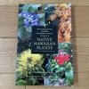 [Б/У] Местные гавайские растения