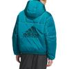 adidas Equipment Series SS25 свободная теплая спортивная куртка с капюшоном на утином пуху с буквами мужская куртка зеленая KA7980