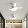 Household Frequency Conversion Ceiling Fan Light Kitchen Bedroom 3 Colors Light Adjustable Electric Ceiling Fan Lamp