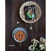 True Elements Party Mix 125gm - Mix of Crunchy Seeds (Pumpkin, Watermelon), Almonds, Nuts & Pulses, Namkeen, Trail Mix