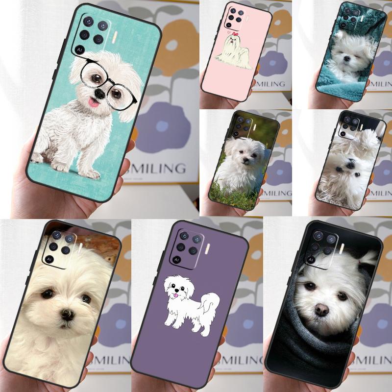 Maltese Dog Puppy For OPPO A53S A57S A54 A74 A94 A17 A77 A58 A78 A98 A5 A9 A96 A76 A16 A52 A72 A79 A15 Case