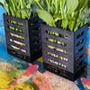 Water Plant Landscape Fish Tank Plant Cup Emersed Plants Storage Rack  Water Feature Decoration