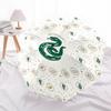 1pc Slytherin House Crest Umbrella with Plastic Handle,Cartoon Pattern,Suitable for All Seasons Multi-functional Umbrella310