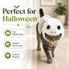 Plush Dinosaur Skeleton Pet Clothes White Pet Hood Outfit New Pet Clothes  Cat