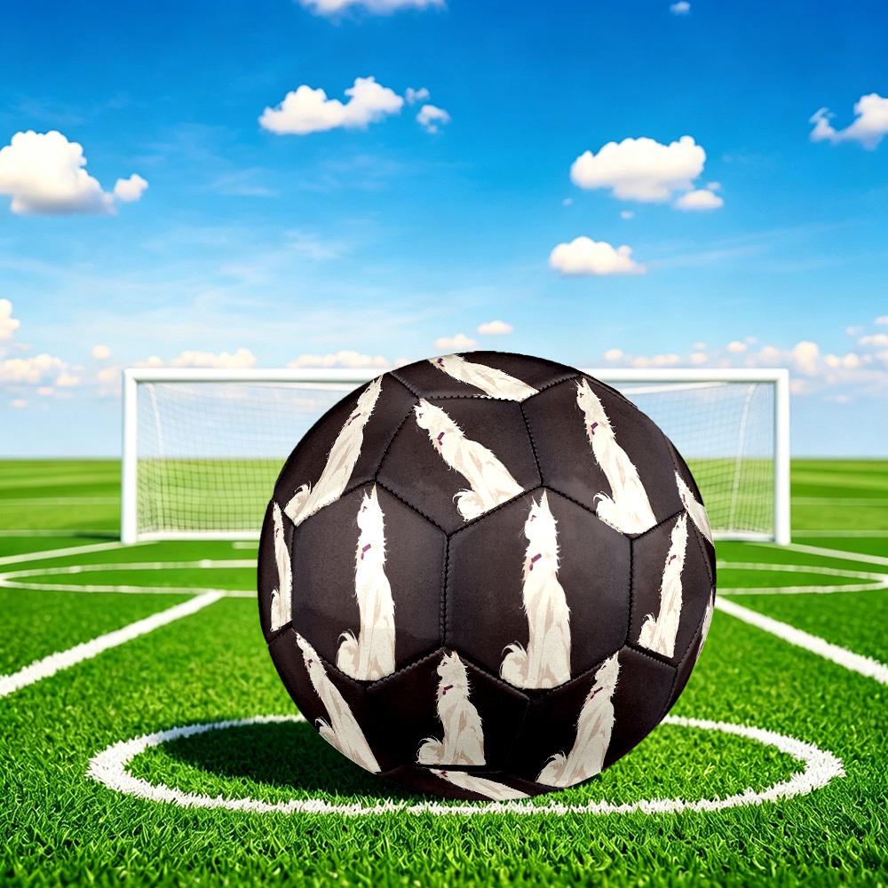 1pc White Cat Size 5 Soccer Ball Professional Match Training Football Indoor &Outdoor Sports Ball Lightweight Durable c6561