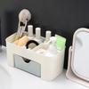Multifunctional Plastic Storage Box: Desktop Organizer, Makeup/Jewelry Holder, Office Drawer Solution.
