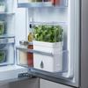 Large Capacity Fresh Herb Keeper Plastic Herb Lettuce Keeper Vanilla Bean Storage Box  Mint
