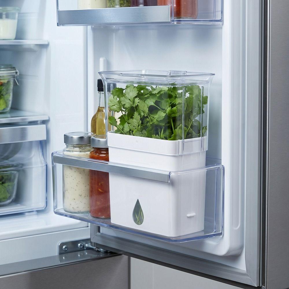 Large Capacity Fresh Herb Keeper Plastic Herb Lettuce Keeper Vanilla Bean Storage Box Mint