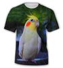 Летние модные футболки с изображением попугая для мужчин, повседневные футболки с 3D-принтом в стиле хип-хоп, с круглым вырезом и коротким рукавом