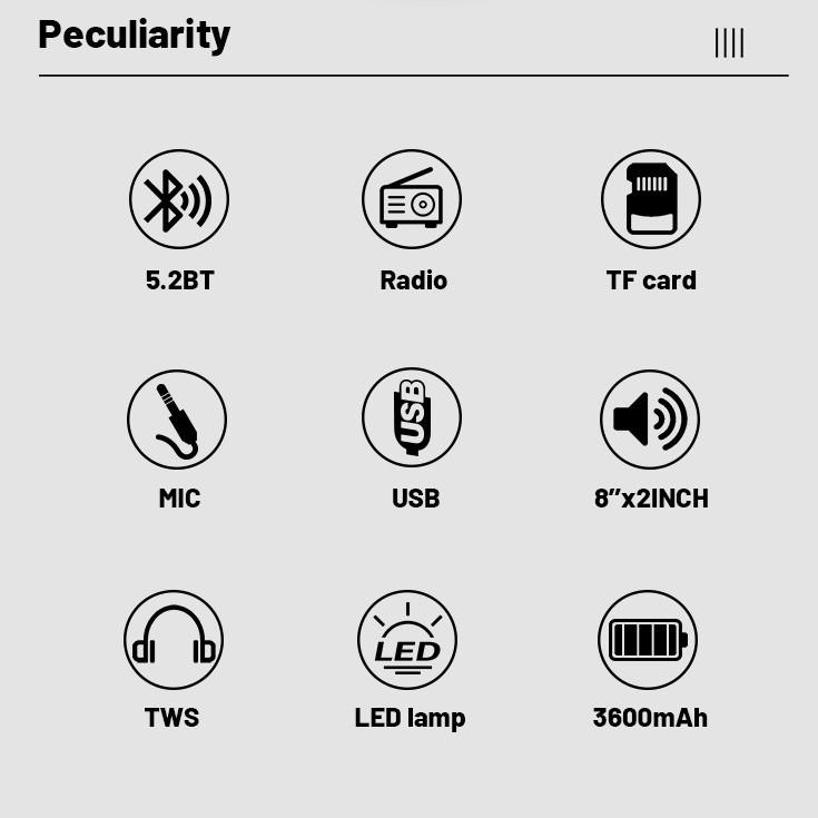 Мощная 8-дюймовая беспроводная Bluetooth-колонка для улицы с микрофоном