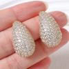 Micro-inlaid Diamond Zircon Water Drop Earrings for Women with Light Luxury High-end Hollow Earrings
