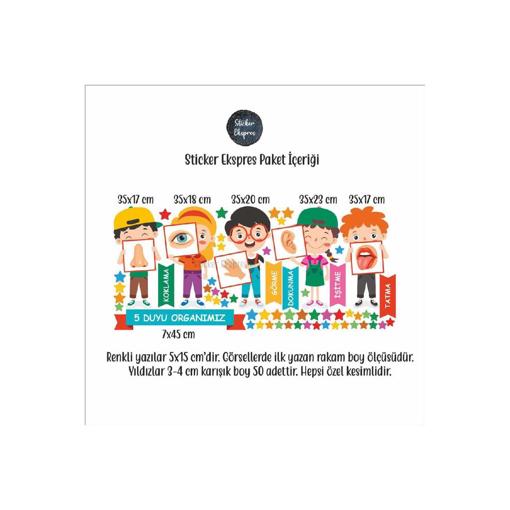 Our Five Senses Educational Kindergarten Children's Room Nursery Wall Door Glass Sticker Set