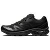 Кроссовки XT-6 Advanced 'Black' L41086600