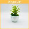 Succulent Desert Simulated Plant Artificial Green Plant Desktop Decoration